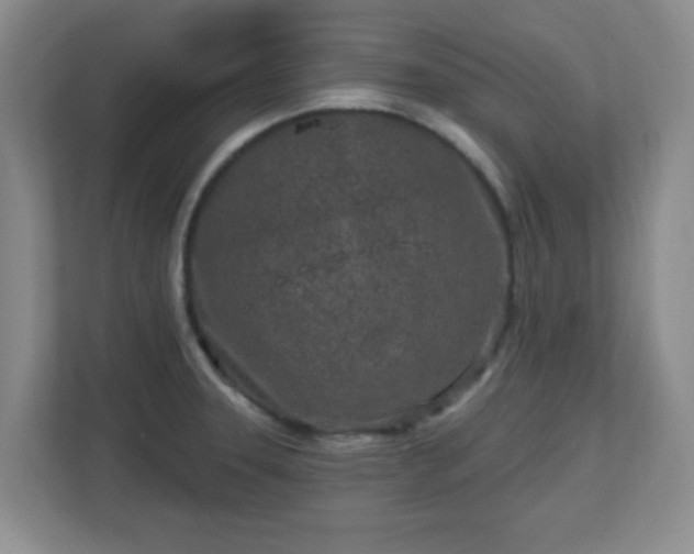 X0000113121331200909041258