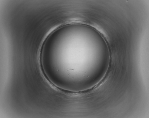 X0000113121333200909041258