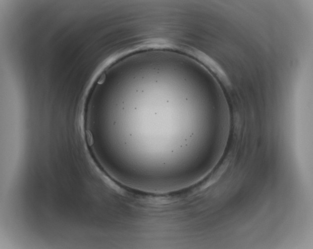 X0000113121334200909041258