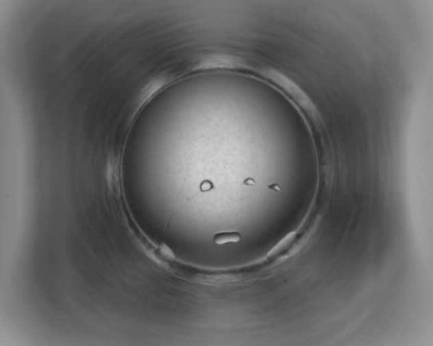 X0000113121337200909041258