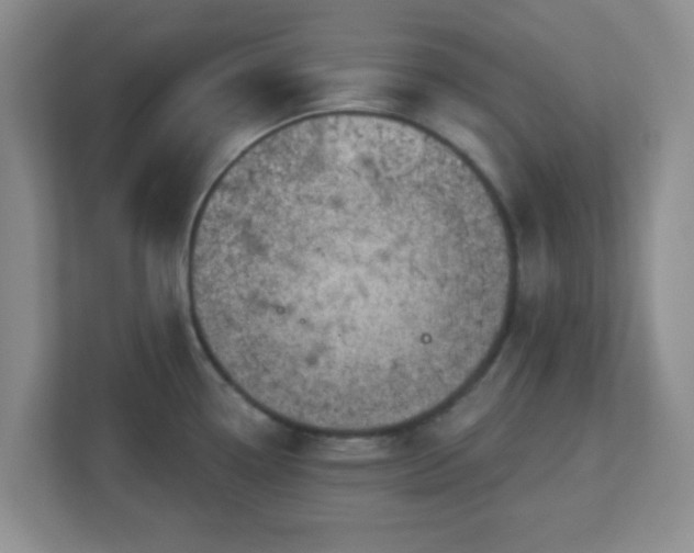 X0000113121338200909041258