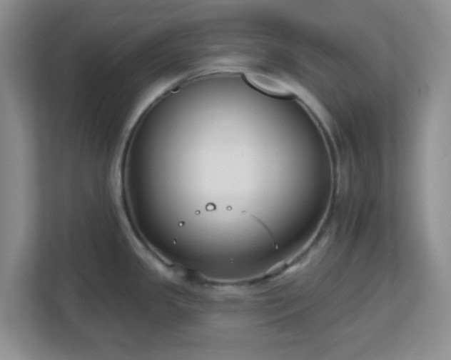 X0000113121341200909041258