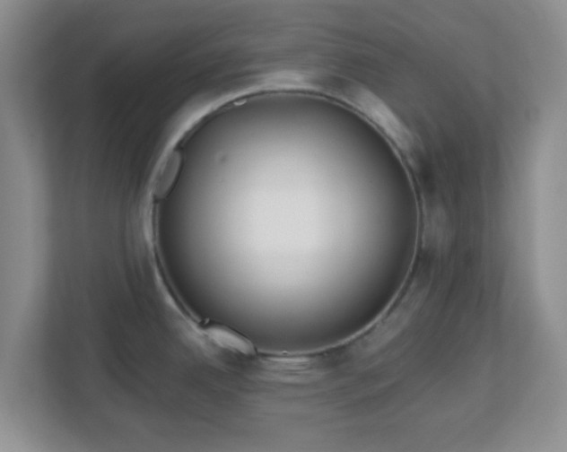 X0000113121342200909041258