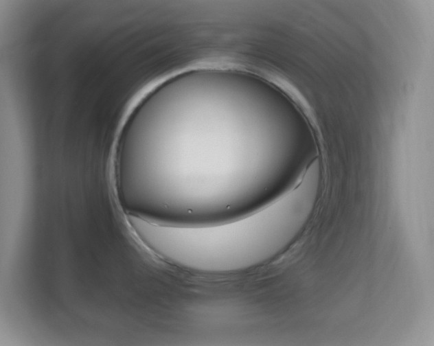 X0000113121344200909041258