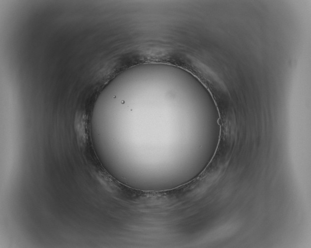 X0000113121346200909041258