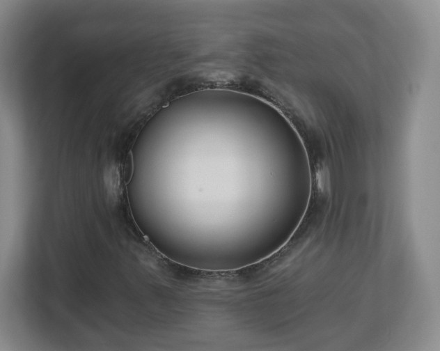 X0000113121347200909041258