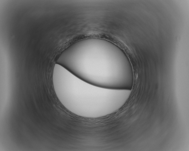 X0000113121348200909041258