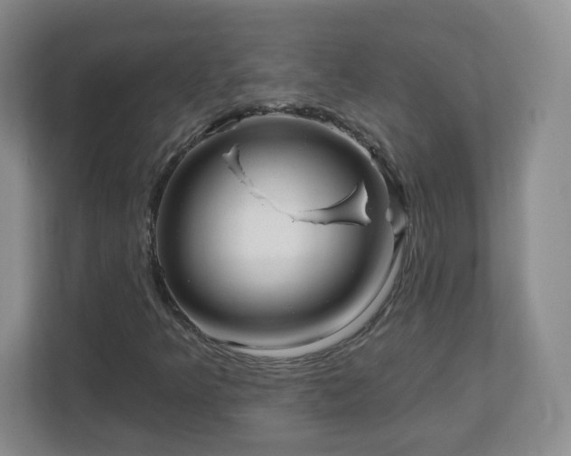 X0000113121349200909041258