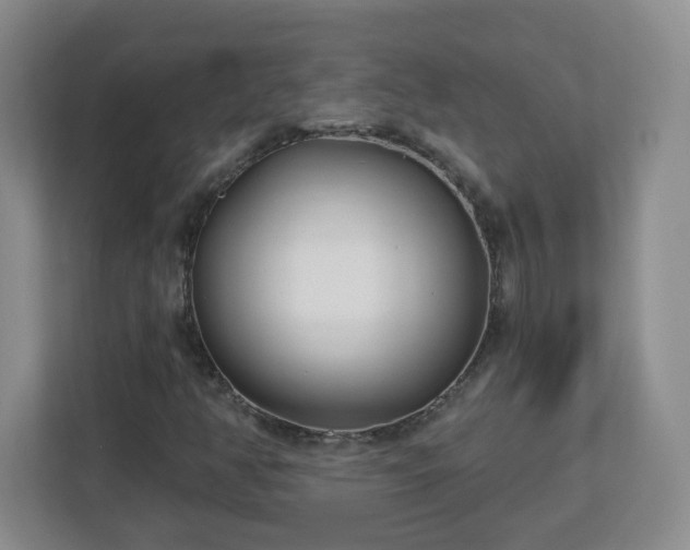 X0000113121350200909041258