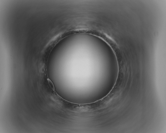 X0000113121351200909041258