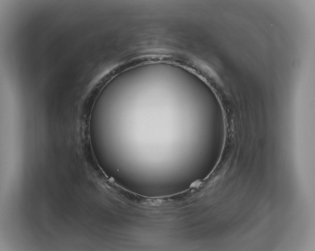 X0000113121352200909041258