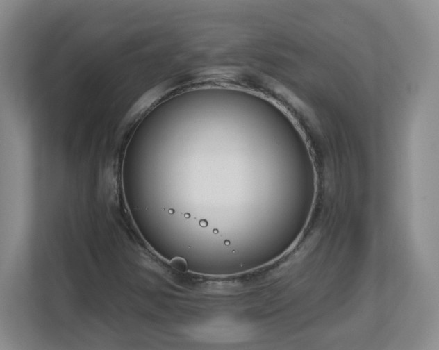 X0000113121354200909041258