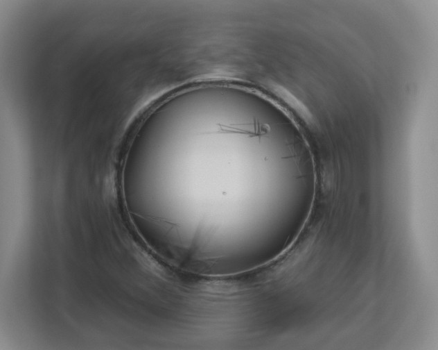 X0000113121356200909041258