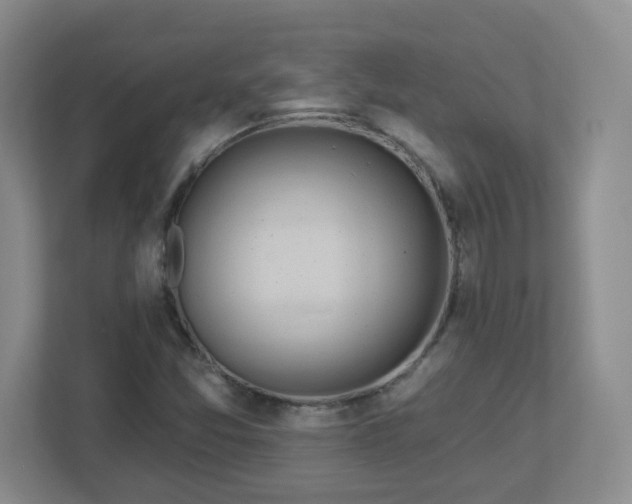 X0000113121357200909041258