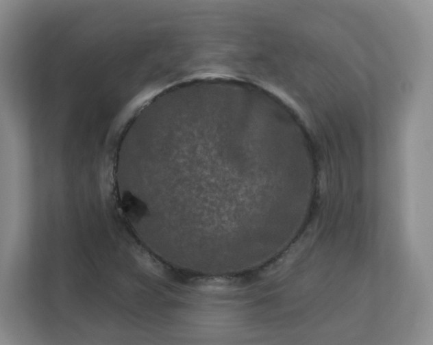 X0000113121359200909041257