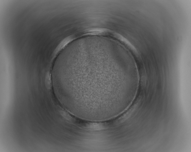 X0000113121362200909041257