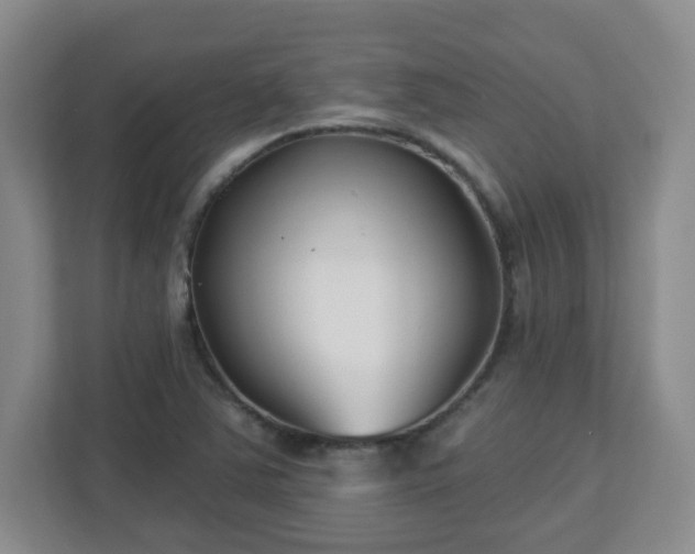 X0000113121363200909041257