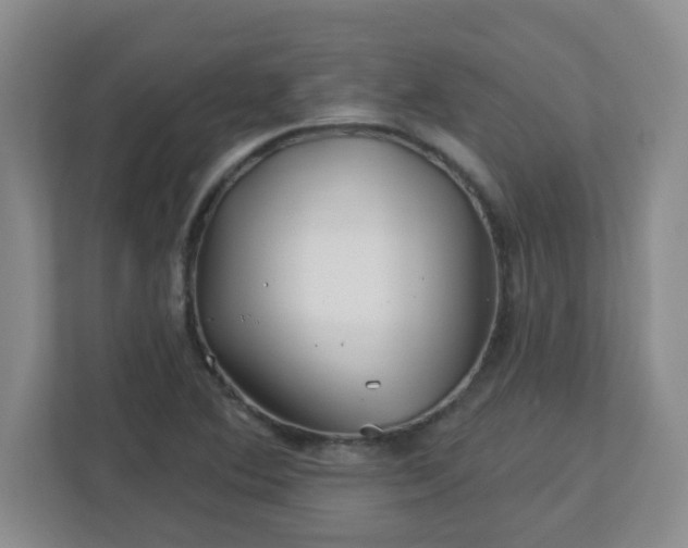 X0000113121364200909041257