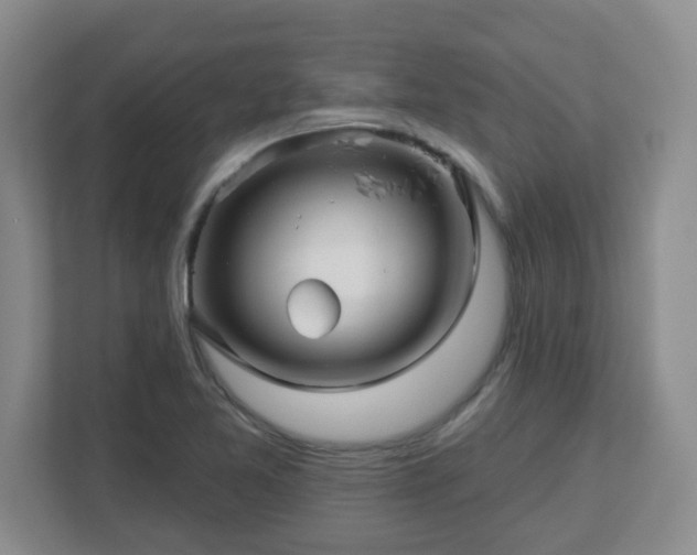 X0000113121365200909041257