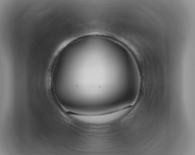 X0000113121367200909041257