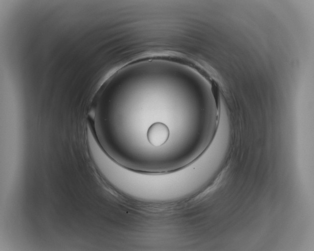 X0000113121369200909041257