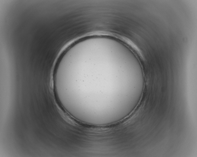 X0000113121372200909041257