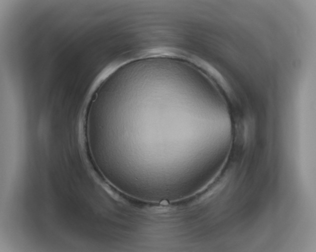 X0000113121373200909041257