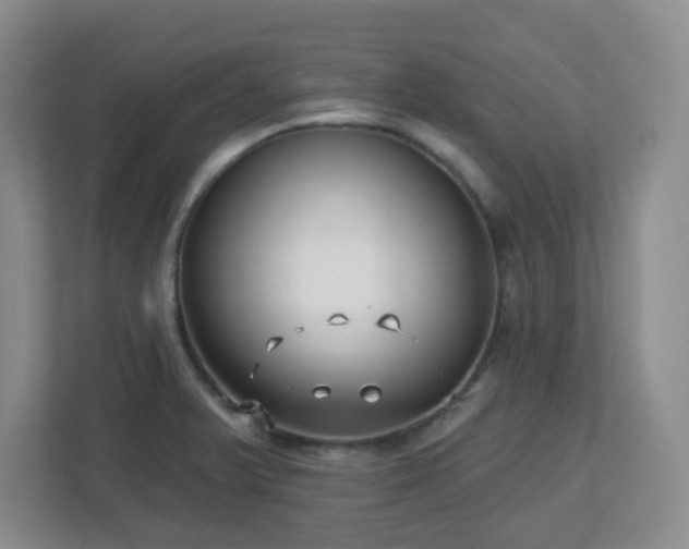 X0000113121375200909041257