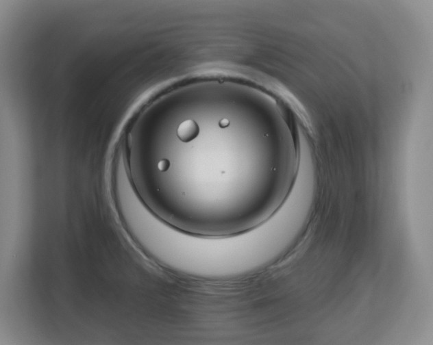 X0000113121376200909041257