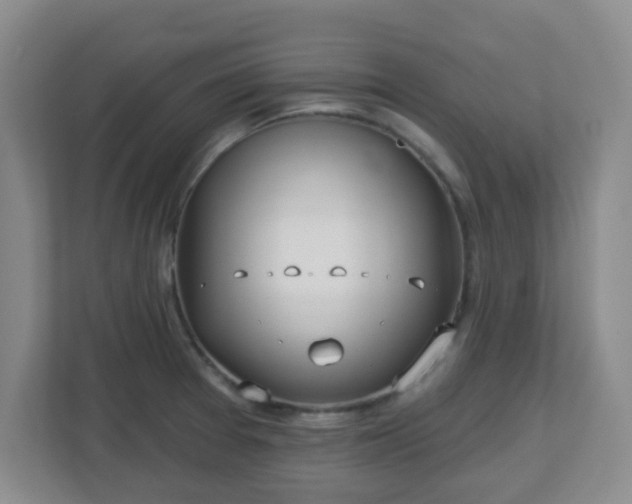 X0000113121377200909041257