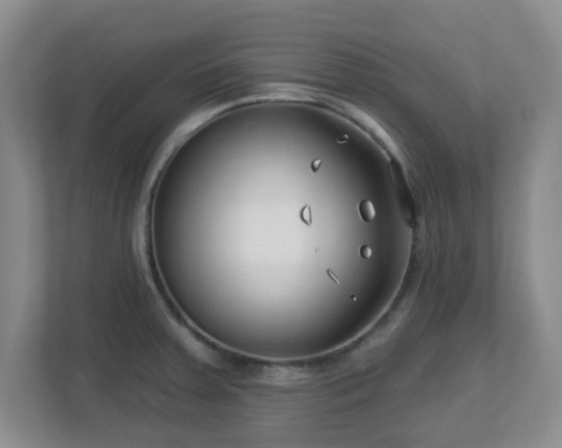 X0000113121379200909041257