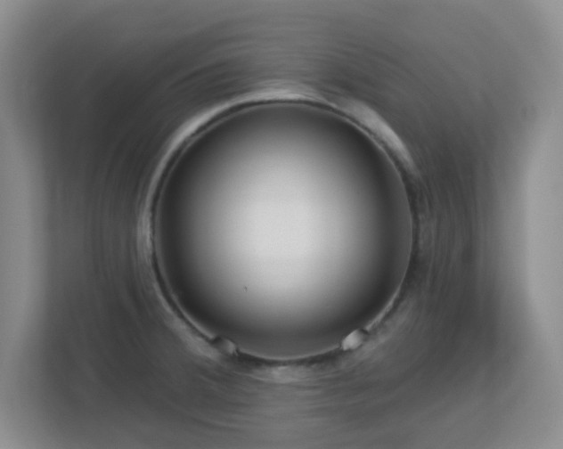 X0000113121380200909041257