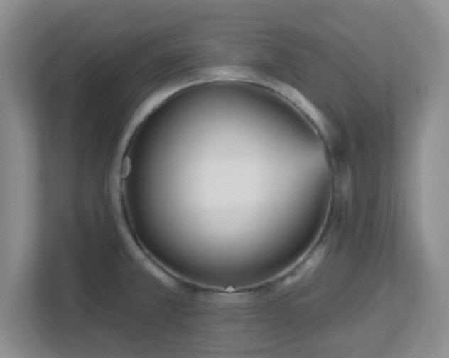 X0000113121381200909041257