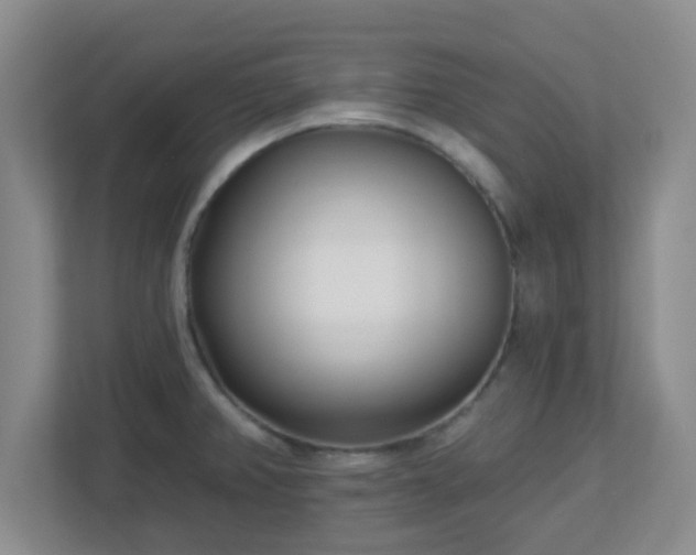 X0000113121382200909041257