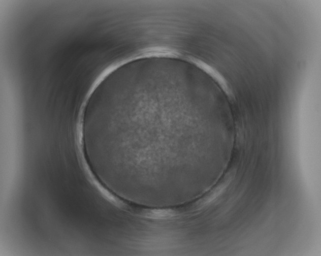 X0000113121383200909041257