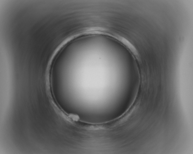 X0000113121384200909041257