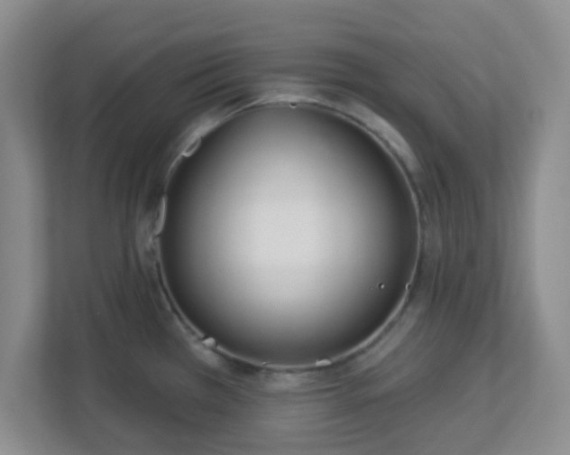 X0000113121385200909041257