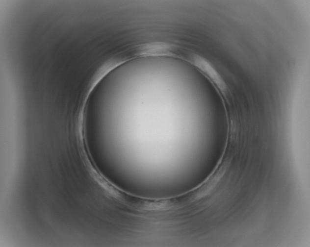 X0000113121386200909041257