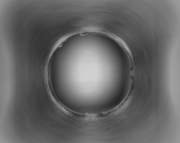 X0000113121389200909041257