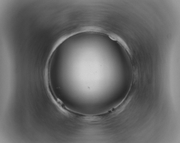 X0000113121391200909041257