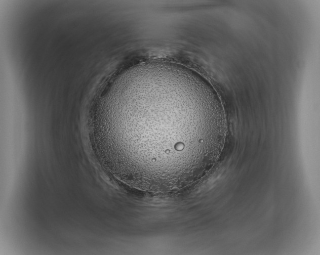 X0000113121393200909041256