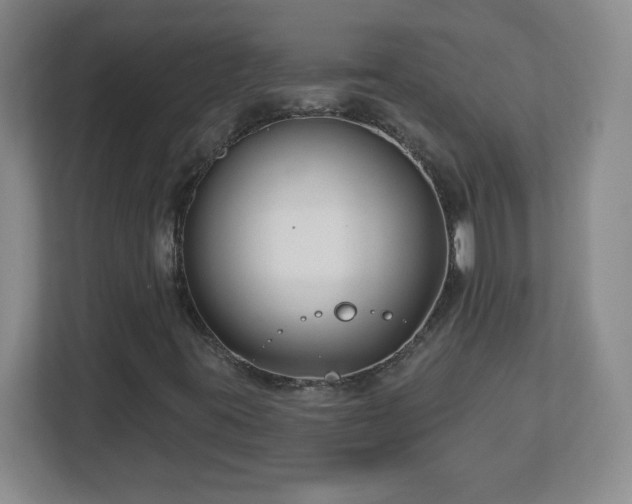 X0000113121395200909041256