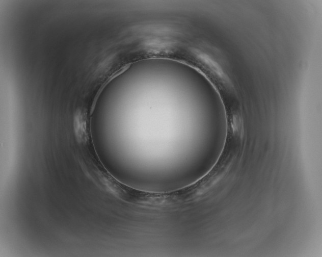 X0000113121396200909041256