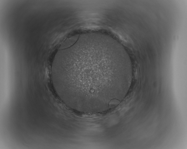 X0000113121397200909041256