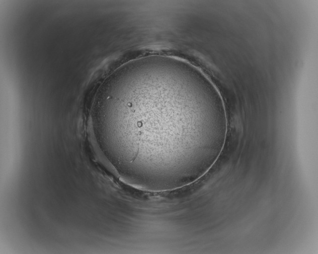 X0000113121398200909041256