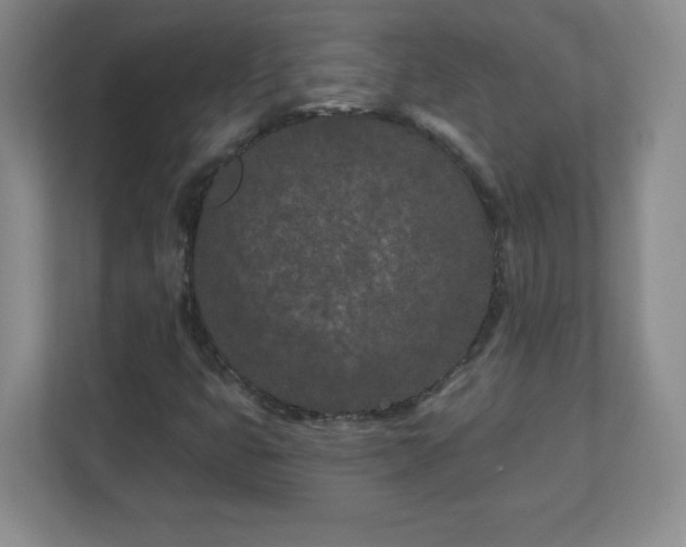 X0000113121399200909041257