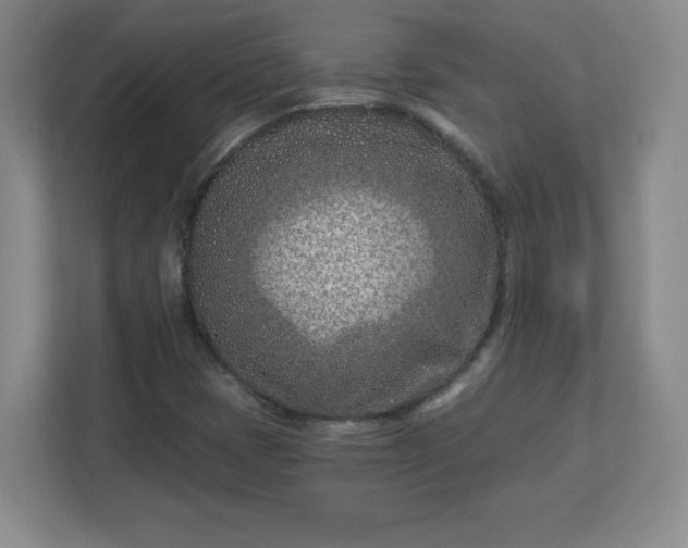 X0000113121401200909041257