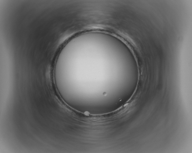 X0000113121404200909041257