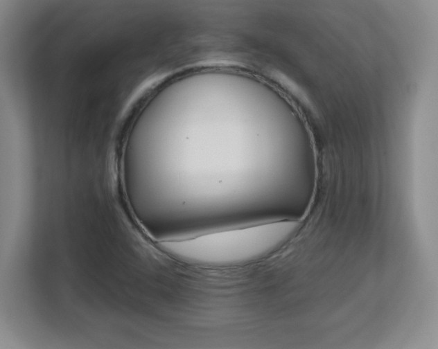 X0000113121408200909041257