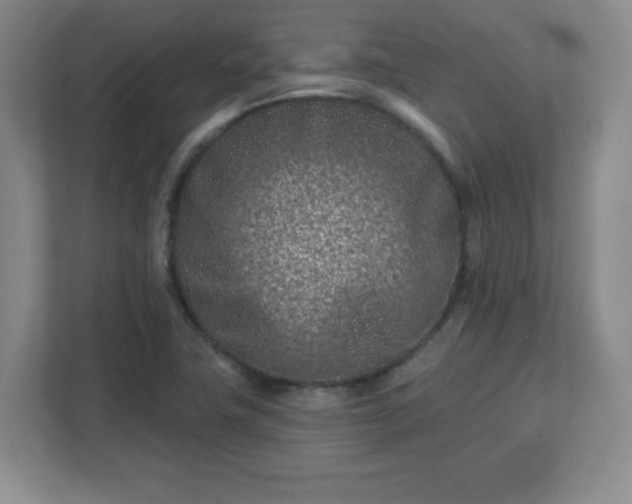 X0000113121411200909041257